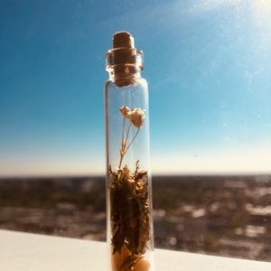 Meet your Posher, Hazel